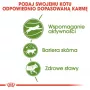 Royal Canin Outdoor comida seca para gatos 2 kg