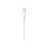 Cable Apple USB-C a Lightning (1 m)