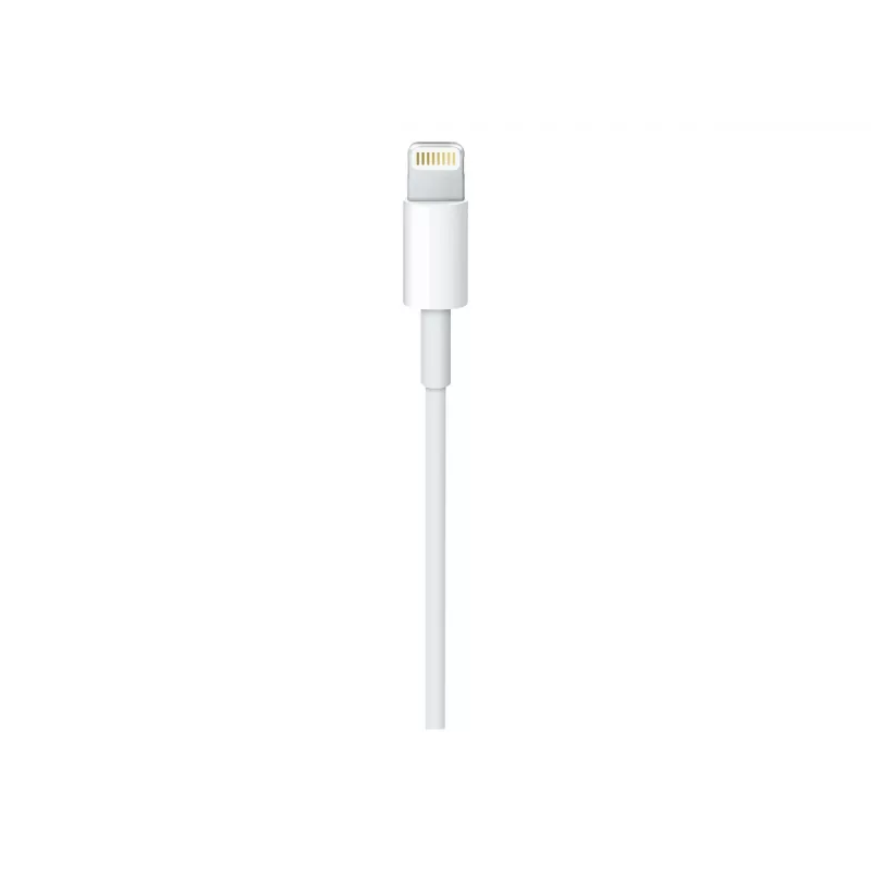 Cable Apple USB-C a Lightning (1 m)