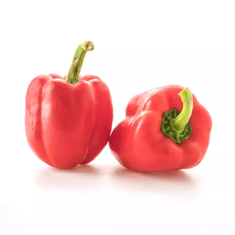 PNOS mezcla de semillas de pimiento dulce, 0,6 g