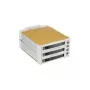 Fantec SNT-BA2131-2 - S-ATA 2x 13,30cm (5,25) para 3x1 HDD beige (2007)