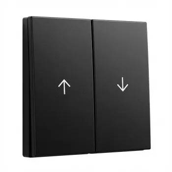 Teclas 2 canales con flechas Gira System 55, modelo 3294005, negro