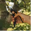 Tijera de podar de bypass Fiskars Plus SmartFit P541 negra, naranja