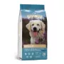 Pienso para perros DIVINUS Adult 20 kg — ave, 23 % proteína, 8 % grasa, 3 % fibra bruta, apto para perros adultos de todas las razas