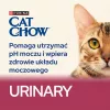 Purina Cat Chow Urinary Tract Health comida seca para gatos 1,5 kg Adult Chicken
