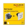 Toma de corriente 2 x USB + CEE 7/3 DeLOCK 11473