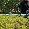 Makita DUN600L Doble cuchilla 3,4 kg