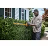 DeWALT DCMHT573X1-QW cortasetos eléctrico doble cuchilla 4,1 kg