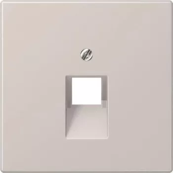 Jung Placa embellecedora gris claro para toma IAE/UAE LS 969-1 UA LG (LS969-1UALG)