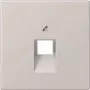 Jung Placa embellecedora gris claro para toma IAE/UAE LS 969-1 UA LG (LS969-1UALG)