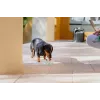 Solución de higiene bucal VIRBAC Aquadent líquido para el cuidado bucal 500 ml para mascotas