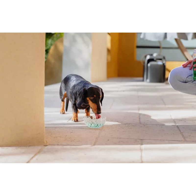 Solución de higiene bucal VIRBAC Aquadent líquido para el cuidado bucal 500 ml para mascotas