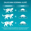 PURINA One Bifensis Senior 7+ - Pienso para gatos - 800 g