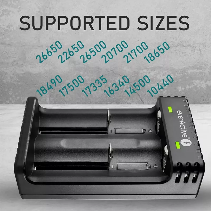 Cargador de pilas everActive LC200 Hogar USB, 2 compartimentos, Li-Ion, compatible con A/AA/AAA/AAAA/C/D, entrada 5 V, salida 4,2 V, negro