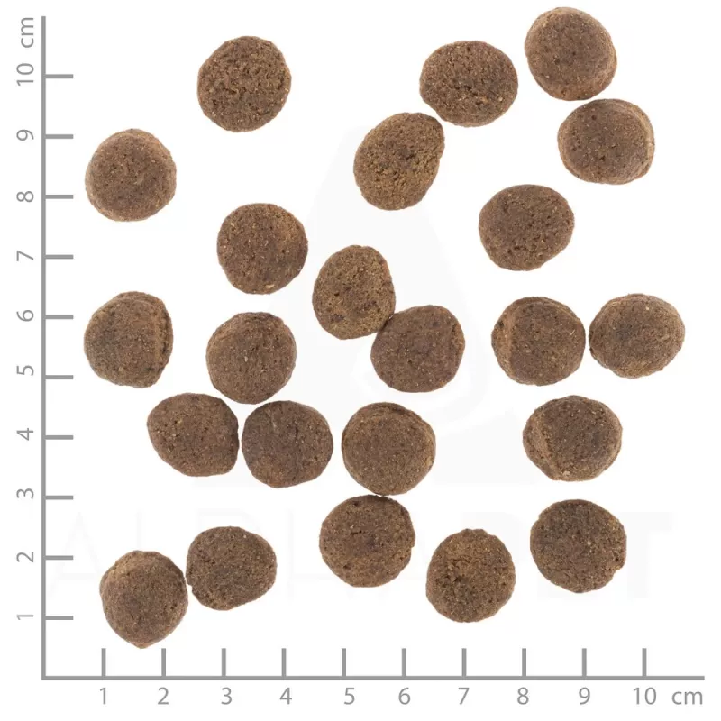 Pienso para perros Wolfsblut VetLine Gastrointestinal pato 2 kg — dieta veterinaria para favorecer la digestión, 20 % proteína, 10 % grasa