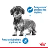 Royal Canin CCN MINI LIGHT WEIGHT CARE - Pienso seco para perros adultos - 3 kg