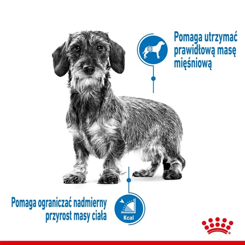 Royal Canin CCN MINI LIGHT WEIGHT CARE - Pienso seco para perros adultos - 3 kg