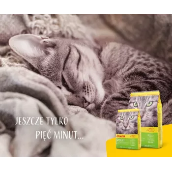 Pienso seco para gatos JOSERA SensiCat 10 kg — pollo, 33 % proteína, 18 % grasa, para gatos adultos con estómago sensible