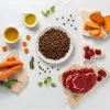 RAW PALEO Ultra Medium&Large Adult ternera - comida seca para perros - 10 kg