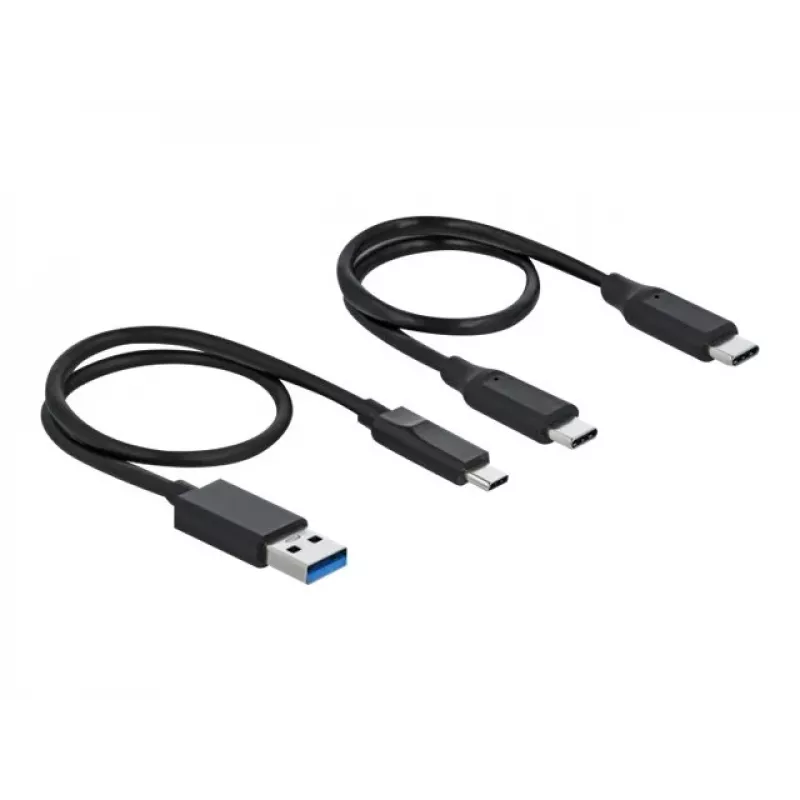Lector de tarjetas DeLOCK USB Type-C para CFast SD + hub USB