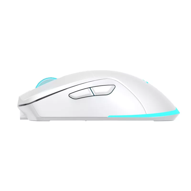 Ratón Baracuda BGM-122 Turtle blanco TURTLE-W