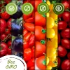 Set de semillas de tomate Toraf Eden – 8 paquetes