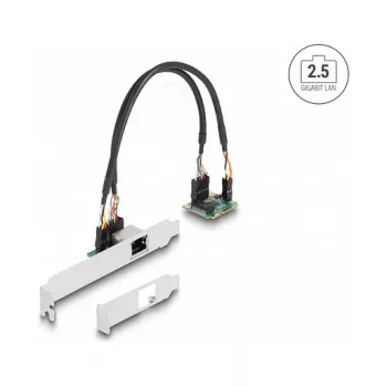 Tarjeta de red interna DeLOCK 95271 2500 Mbit/s Mini PCI Express