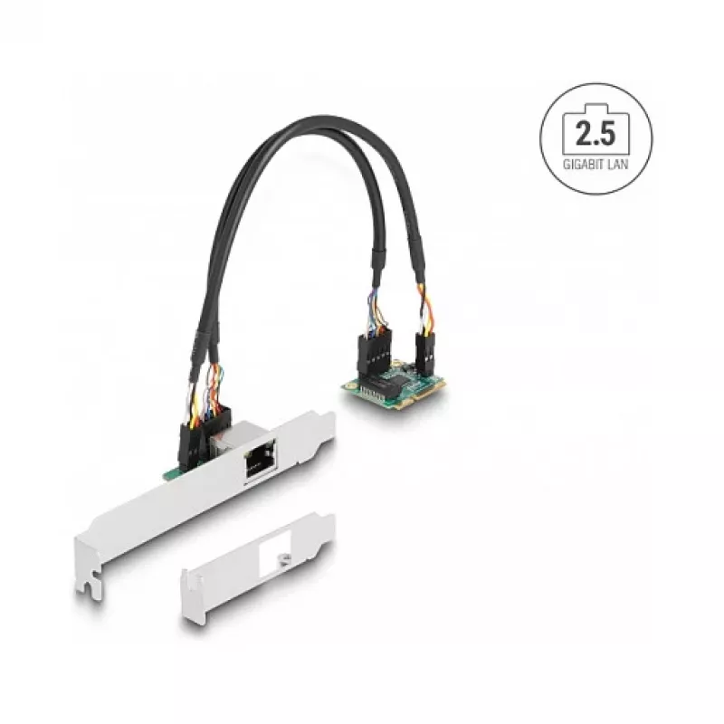 Tarjeta de red interna DeLOCK 95271 2500 Mbit/s Mini PCI Express