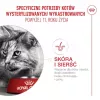 Comida seca para gatos Royal Canin FHN Ageing 11+ 4 kg — alimento completo para gatos mayores, ave, 30% proteína