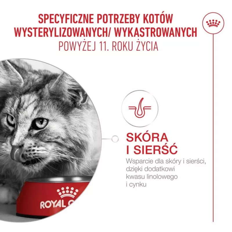 Comida seca para gatos Royal Canin FHN Ageing 11+ 4 kg — alimento completo para gatos mayores, ave, 30% proteína