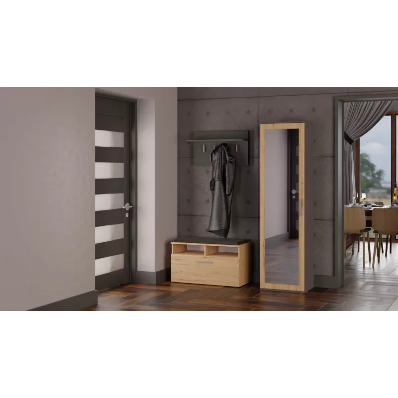 Top e shop DUO SZAFA ANT/ART KP — 1 puerta, 2 estantes, 500×350×1800 mm