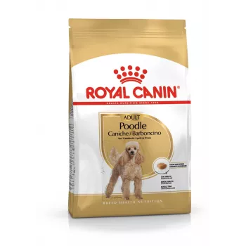 Royal Canin Poodle Adult pienso para perros 1,5 kg — pollo, 30 % proteína, 19 % grasa