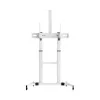 Soporte de suelo Sbox FS-3610 para televisores LED ultra grandes 60-100 100kg blanco