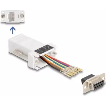 DeLOCK D-Sub 9 pines hembra a RJ45 hembra kit de montaje blanco VGA RJ-45