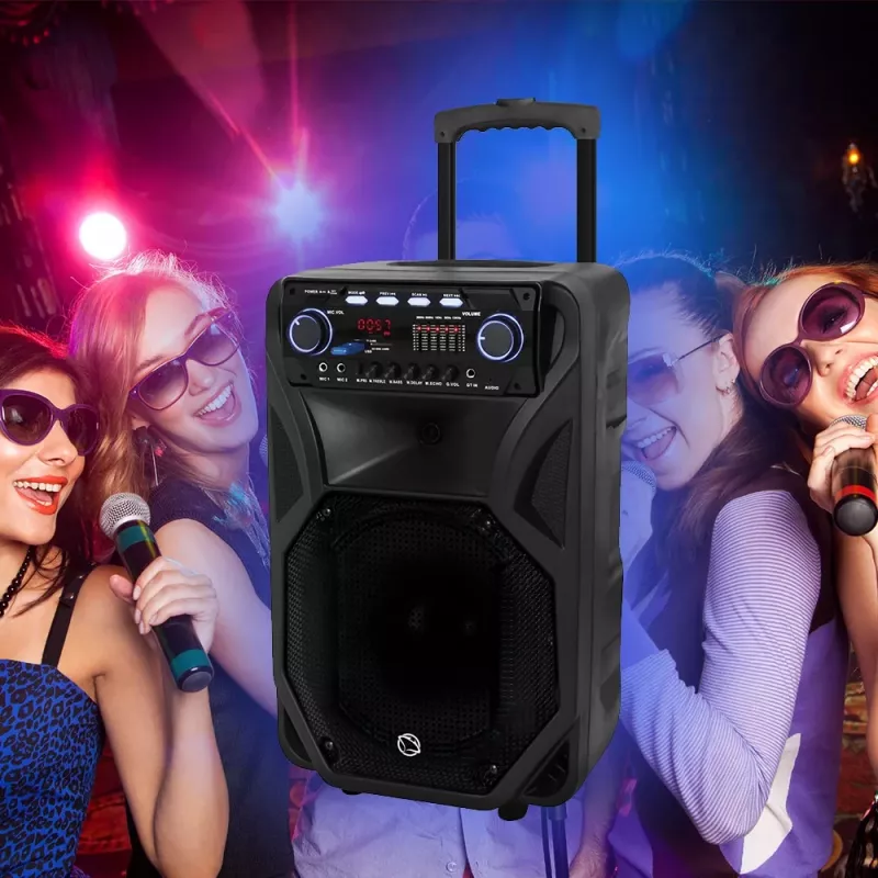 Manta SPK5021PRO Fonos altavoz portátil