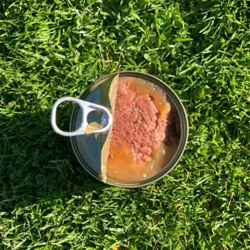 Comida húmeda para perros OLLO Pure Ternera y callos verdes 400 g lata — adult, proteína 14,5 %, grasa 11,9 %, humedad 69 %