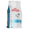 Royal Canin Hypoallergenic Small Dog Adult comida para perros, 3,5 kg