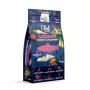 SYTA MICHA Chef Salmón, chirivía y fresa - Comida seca para perros - 9kg