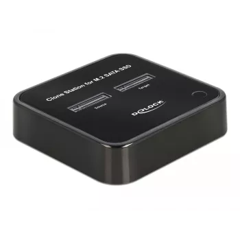 DeLOCK 64178 Estación de acoplamiento USB 3.2 Gen 2 Type-C SSD M.2