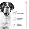 ROYAL CANIN Giant Adult - Pienso para perros - 15 kg