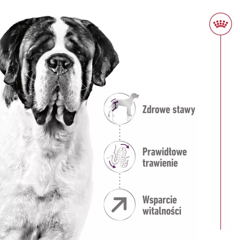ROYAL CANIN Giant Adult - Pienso para perros - 15 kg