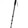 WALSER Walimex Pro WT-1003 Basic - Monopie (Monopod) (1012120)