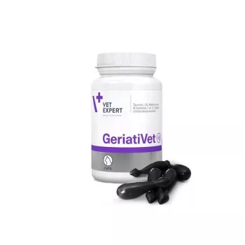 Complemento alimenticio VETEXPERT GeriatiVet gato cápsulas 60 uds. — apoyo para gatos mayores, favorece la función cerebral, sin gluten ni soja