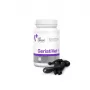 Complemento alimenticio VETEXPERT GeriatiVet gato cápsulas 60 uds. — apoyo para gatos mayores, favorece la función cerebral, sin gluten ni soja