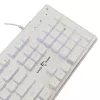 Teclado mecánico gaming White Shark TACHI-W-US — diseño compacto TACHI White