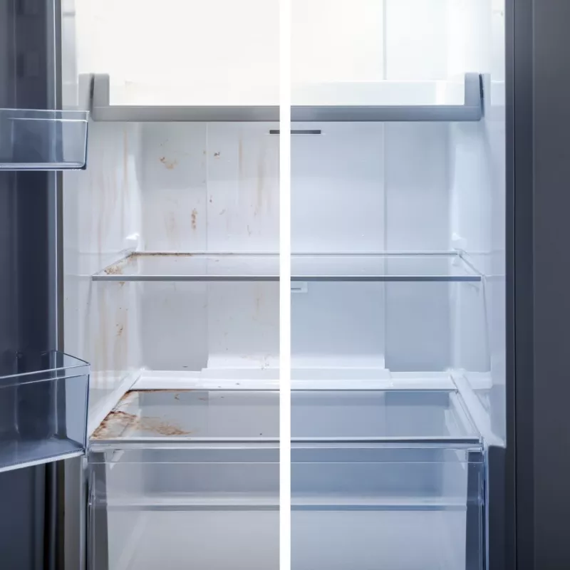 Limpiador de frigorífico Fresh 0,5 l