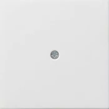 GIRA 0274112 Placa mural/Tapa de interruptor blanco (0274112)