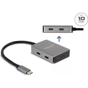 DeLOCK 64249 Hub USB Type-C 10000 Mbit/s negro gris