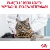 Royal Canin Digestive Care Adult pienso seco para gatos, 10 kg, pescado, aves, arroz, verduras