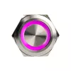 Interruptor pulsador antivandálico DimasTech PD197 25 mm Silverline-Ring